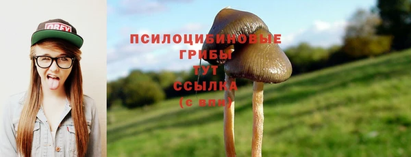 соль ск Алексеевка