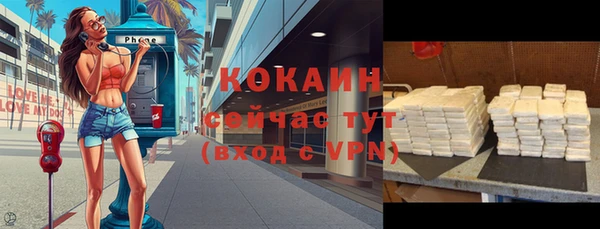 винт Алексин