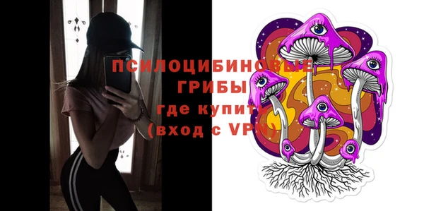 винт Алексин