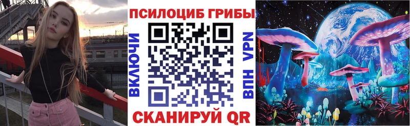 Псилоцибиновые грибы Psilocybe  дарнет шоп  Слободской 